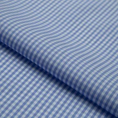 Classic Blue Gingham Check Shirt